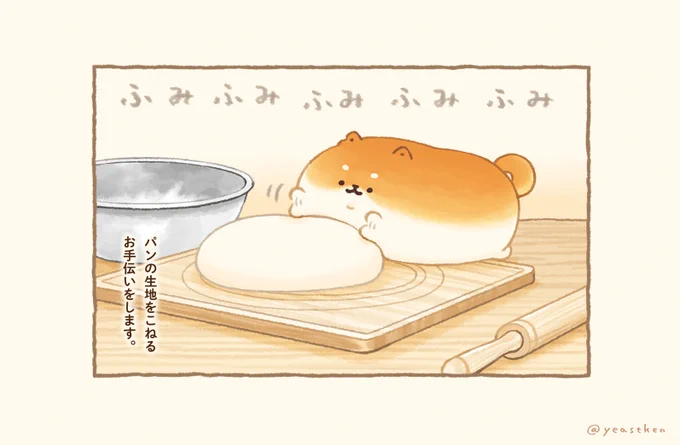 ✨(  `・ᴥ・' )🍞 ❷ 