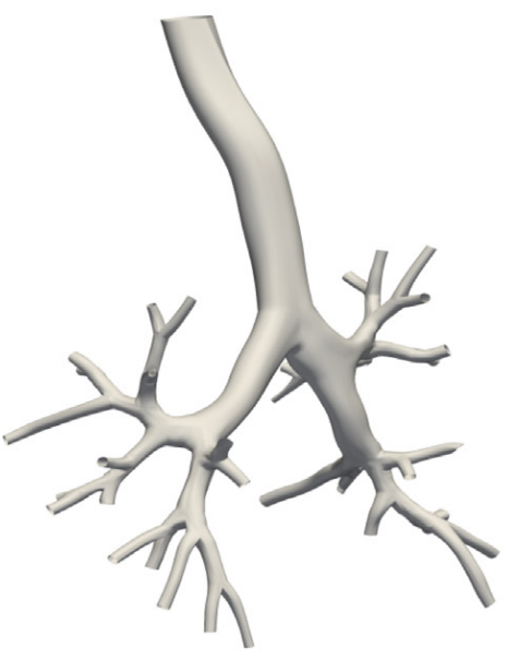 DanielEHurtado1's tweet photo. In our work https://t.co/QHkgVD3sjQ we create an #isogeometricanalysis framework to solve the snakes problem, creating accurate (and realistic!) 3D surface models of the airways, both for healthy subjects and patients with COPD https://t.co/NyViwqr25R