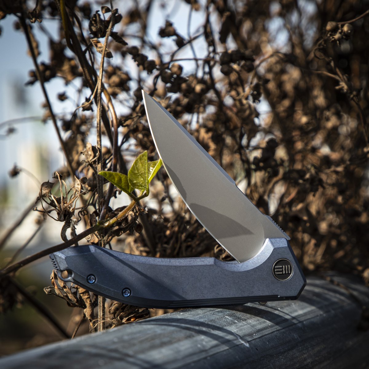 WE Quixotic Blue Ver.💙
A sharp-looking knife with a Titanium handle and tough CPM 20CV steel blade. How are you feeling? 🙌
LINK IN BIO!
.
.
#Weknife #Weknives #Edc #Everydaycarry #newnewarrival #WEQuixotic