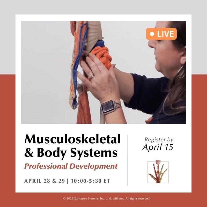 Combining the convenience of online professional development, with real-time, peer-to-peer interaction from in-person events, our LIVE virtually-hosted ANATOMY IN CLAY® Professional Development Programs provide a best-in-class experience.

Register today- conta.cc/3ogJu0o