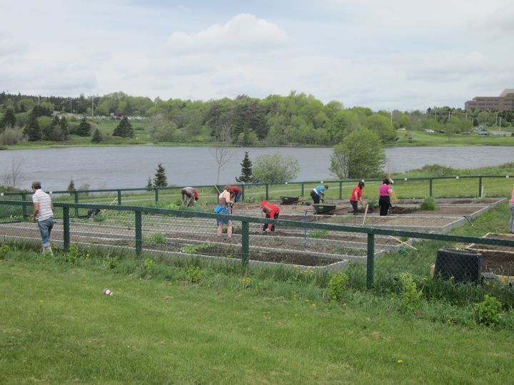 The <a href="/MemorialU/">Memorial University</a> Community Garden is accepting new members for the 2022 gardening season. Current students, staff and faculty, and retired staff and faculty are eligible to apply for a plot (to be allocated through a lottery). Apply by Thursday, April 7: bit.ly/3qHLLmG