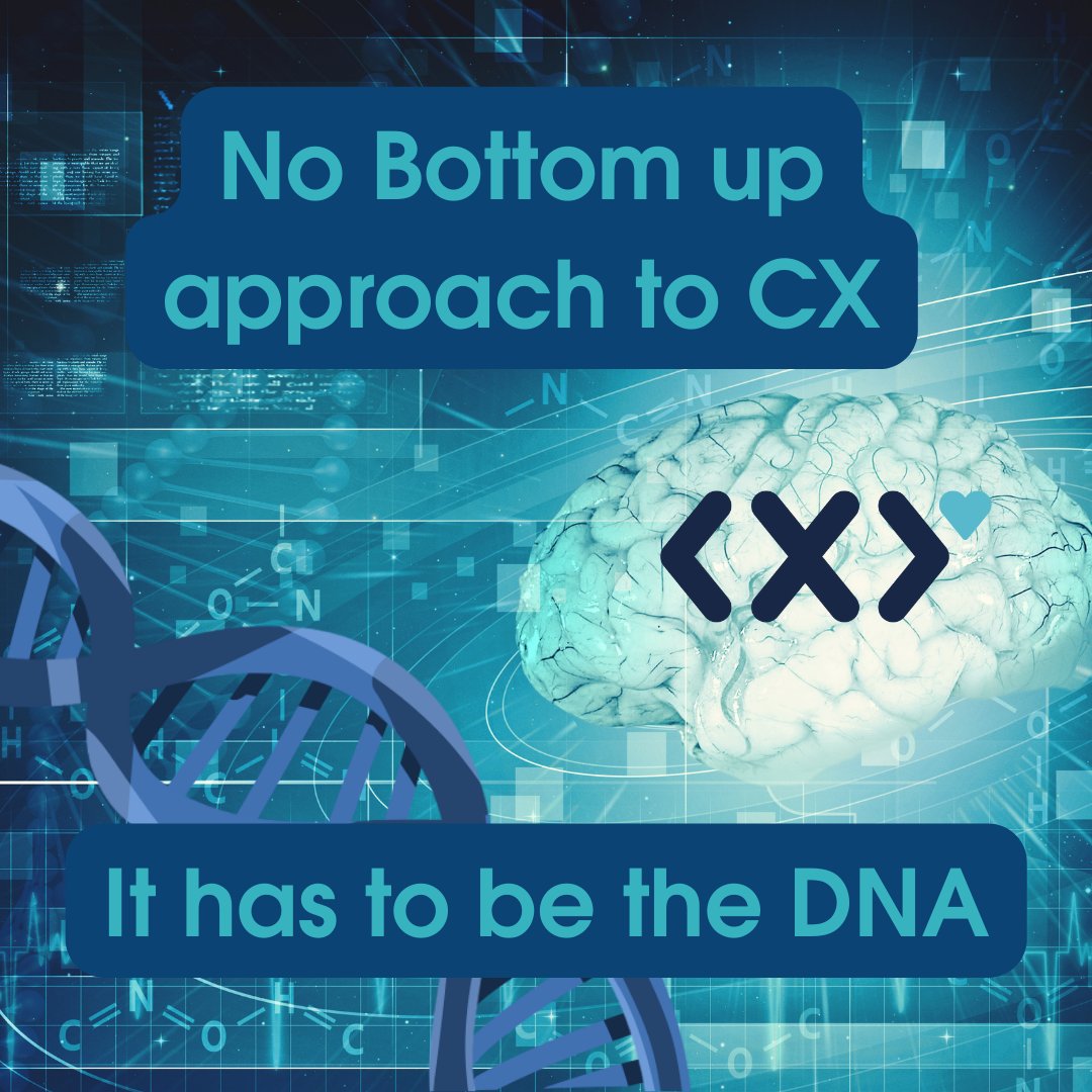 CXY LTD tweet media
