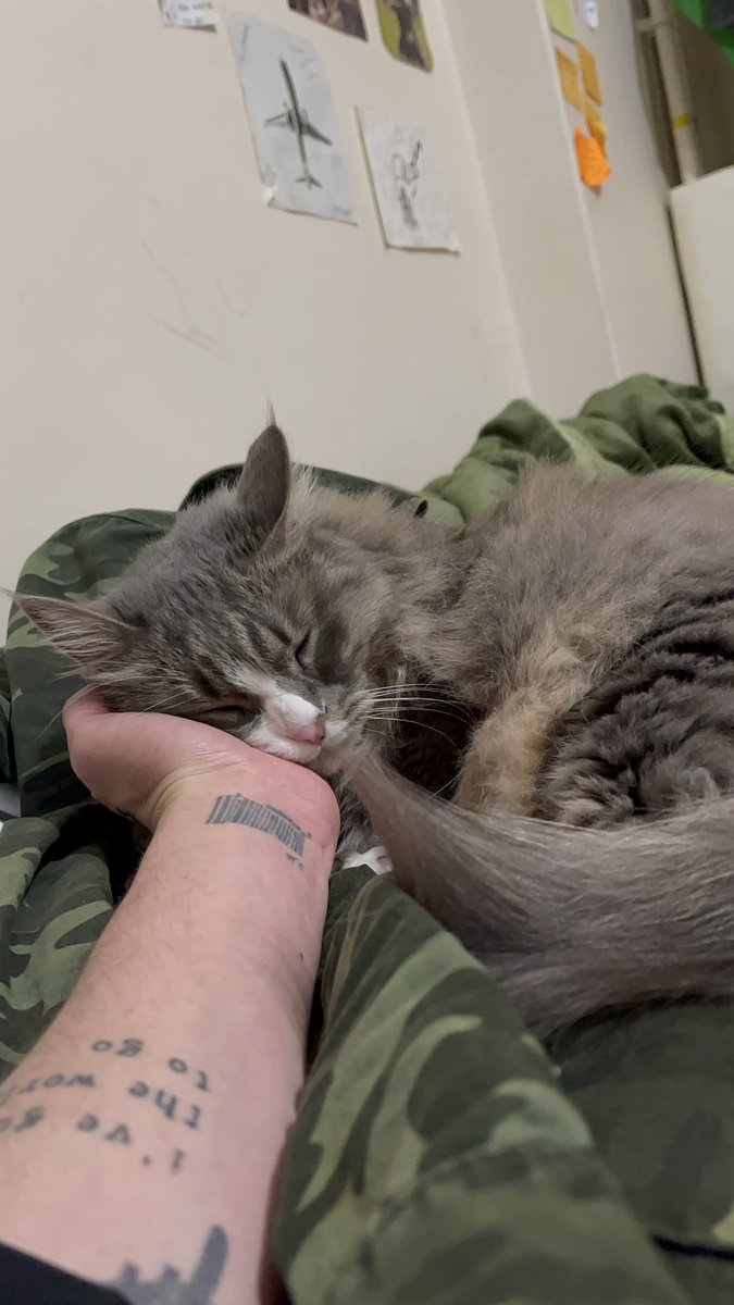 ronaldo_dmrl's tweet image. GM❤️ Merve 😻😸

Today is a beautiful day to do nothing✨ @Beerheads_HQ #APECOIN #usdt #shiba  #NFTGiveaway #NFTCollection #NFTGame #NFT #NFTartist #nftcollector #NFTS #Ethereum