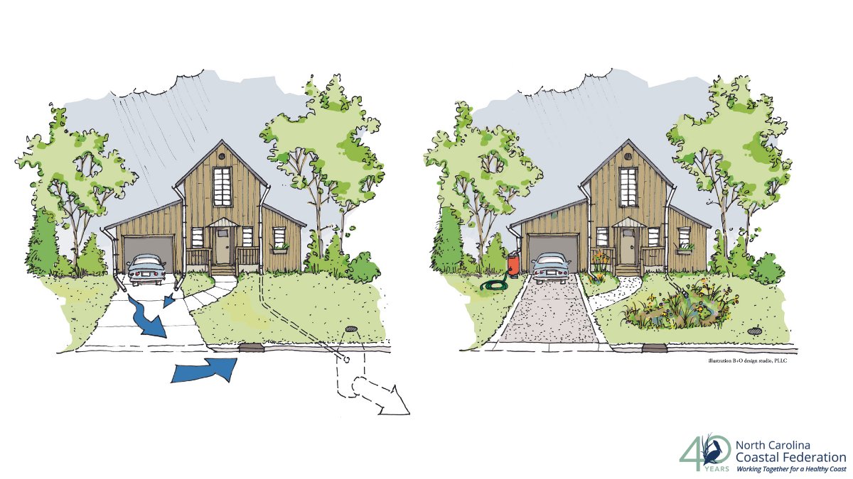 NCCoastalFed's tweet photo. 🌱Do you have a Smart Yard?🌱

Learn how sprucing up your yard with simple techniques can reduce stormwater runoff and improve water quality through our Smart Yards Guide. 

https://t.co/Qf9mMo24Zp

#NCCoast #ProtectandRestore #NatureBasedStormwaterStrategies #LID #SmartYards https://t.co/JXzn3Kpiyt