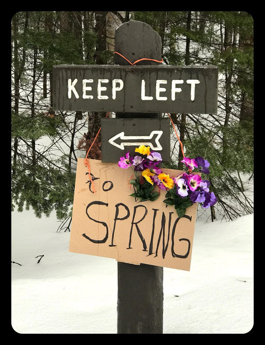 VTStateParks's tweet photo. Why yes, that is quite a bit of snow blowing out there. But it's spring in #Vermont -- really! Photo: Doug Westin #marchfools #spring #snowbegone https://t.co/N7SKIi6g8l