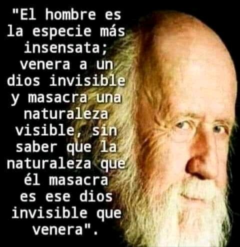 copeticoto's tweet photo. https://t.co/CEf17K0MNC