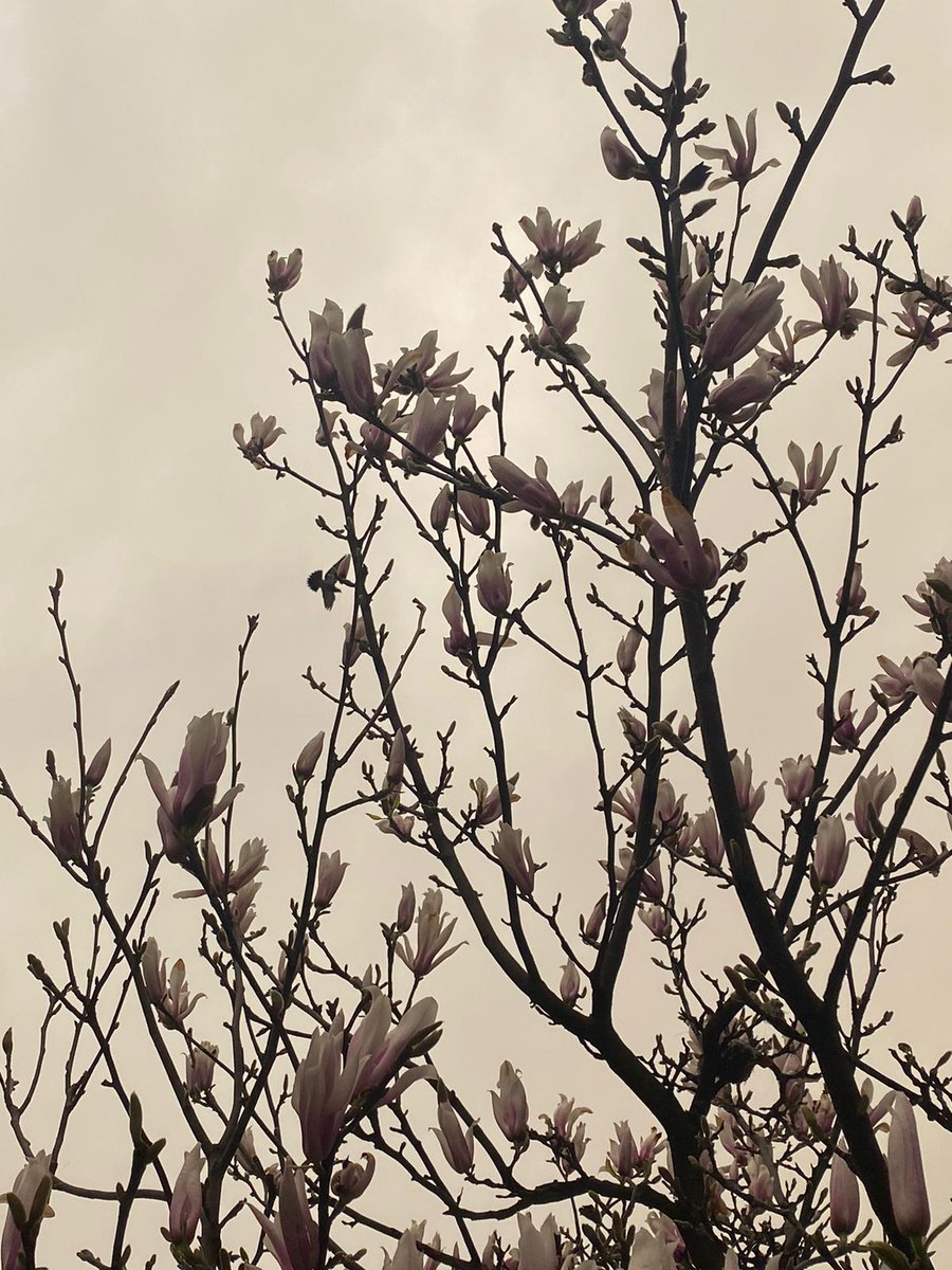 go check out “the femmes playlist” for some beautiful songs made by some incredible women 🤍

listen here: spoti.fi/3NrpJhK