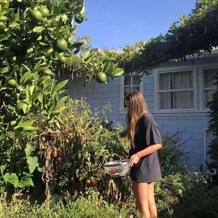 mind57508999's tweet photo. That's how perfect summer looks like https://t.co/3mtEHfKczH
