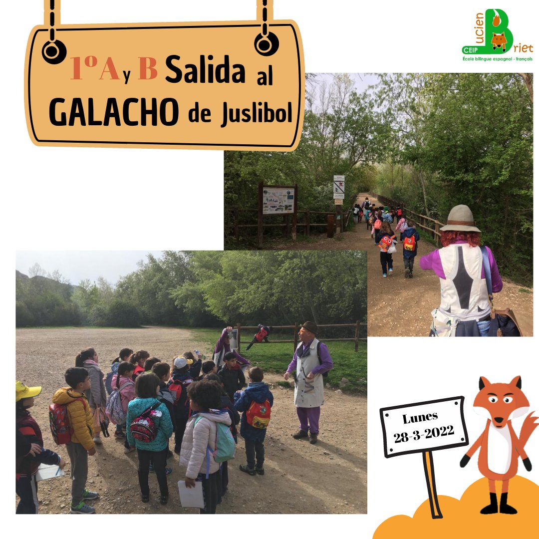 ceiplucienbriet's tweet photo. Hoy ha sido una jornada en la que la escuela se nos quedaba "pequeña". El alumnado de 3º de infantil ha visitado la exposición Alegría de Eva Armisén. Y el alumnado de 1º de primaria salía  a disfrutar de la naturaleza en el galacho de Juslibol. https://t.co/ll7UWHbtxx