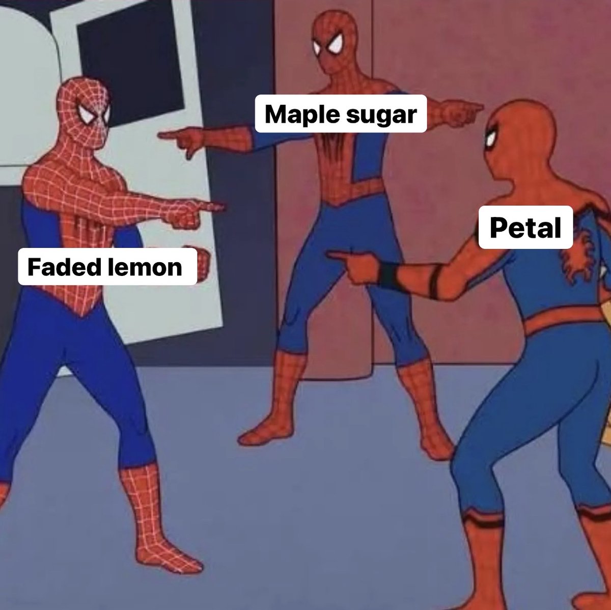 Us trying to figure out which new Linen color is our favorite