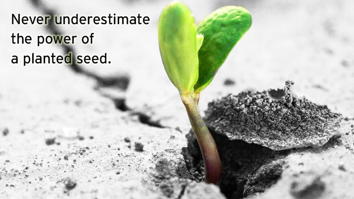 ReddeerFoodbank's tweet photo. Patience.
We do not harvest a crop in the same season as we plant.
Let's start this week by giving time & space for everything to grow naturally.
We will accept fresh garden produce donations, so please: Grow a Row for the Food Bank.
#feedtheneed #mondaymotivation #mondaymindset https://t.co/H9V6iS30i2