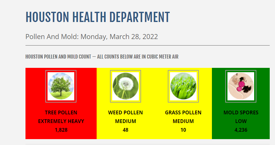 Hot off the presses, the daily <a href="/HoustonTX/">City of Houston</a> pollen report for Monday. Oak pollen continues to be undefeated. 

houstontx.gov/health/Pollen-…