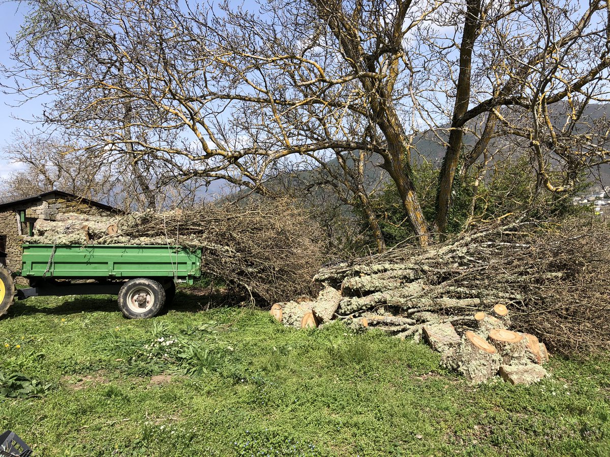 jorgeisla79's tweet photo. Ante a actual crise enerxética, no rural galego seguimos facendo o mesmo ca sempre. Ir ao monte a por leña.
#rebolo
#calornatural
#eofríoqueveñacandoqueira
#Celavente
#Valdeorras https://t.co/kg4GdCNy7F