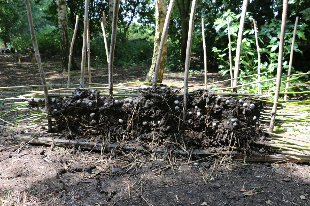 Flag Fen Archaeology Park tweet media