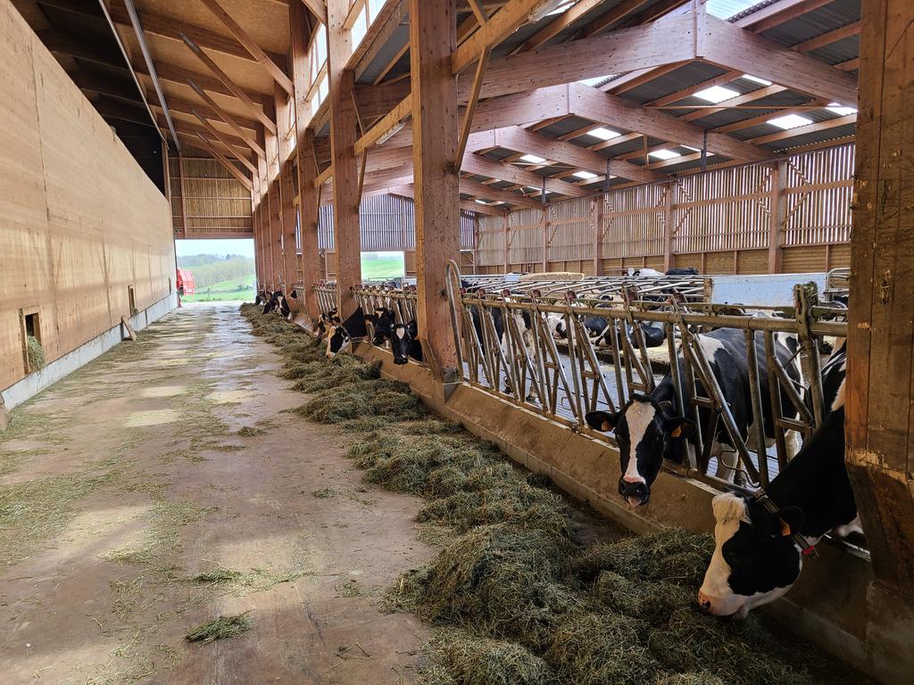 killerkencoles's tweet photo. Last day in France! Checked out a fancy little organic dairy complete with hay drying and automatic manure removal. @FarmingSmarter @NuffieldCanada @NuffieldFrance @AlbertaWheat https://t.co/kiXiadHfqR