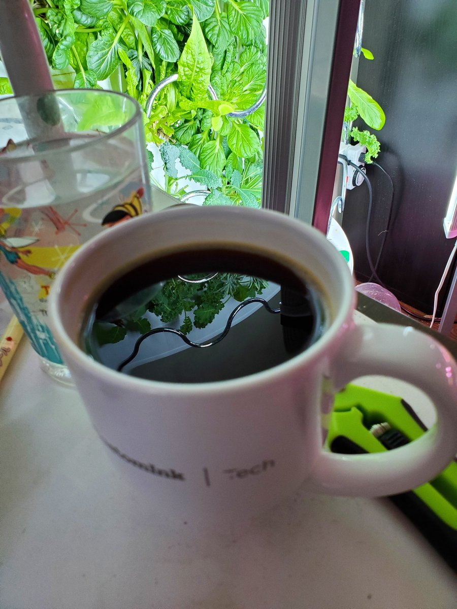 Amy's Vue on this tweet media