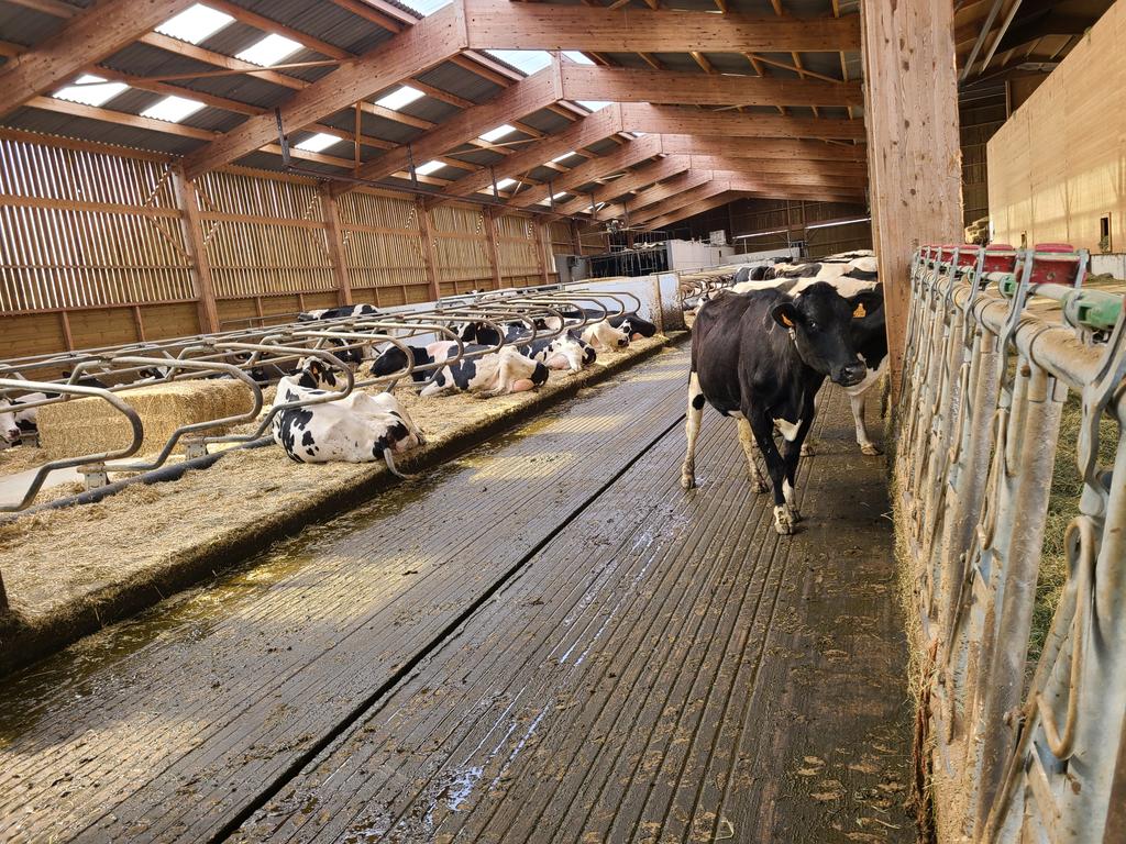 killerkencoles's tweet photo. Last day in France! Checked out a fancy little organic dairy complete with hay drying and automatic manure removal. @FarmingSmarter @NuffieldCanada @NuffieldFrance @AlbertaWheat https://t.co/kiXiadHfqR
