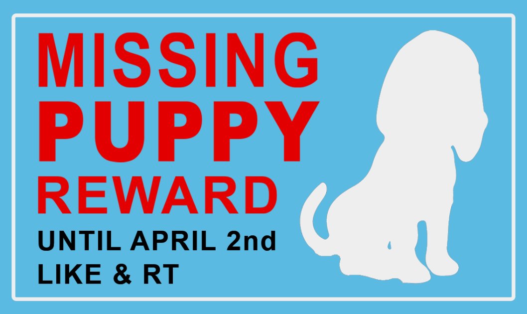 Puppies_Money's tweet photo. Hey #nodearmy, have you seen my puppy?

He was last seen with his tennis ball in his mouth...

Like and retweet and he might come to play fetch!

Tasty treats for 10 of our helpers, selected April 2!

#Avalanche #passiveincome #animalcharity #nodes #puppies #defi #daas $AVAX https://t.co/ApmLtmrXW2