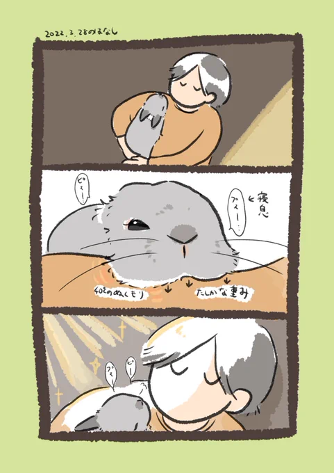 今日のrabbit…
#うさぎのいる生活 
