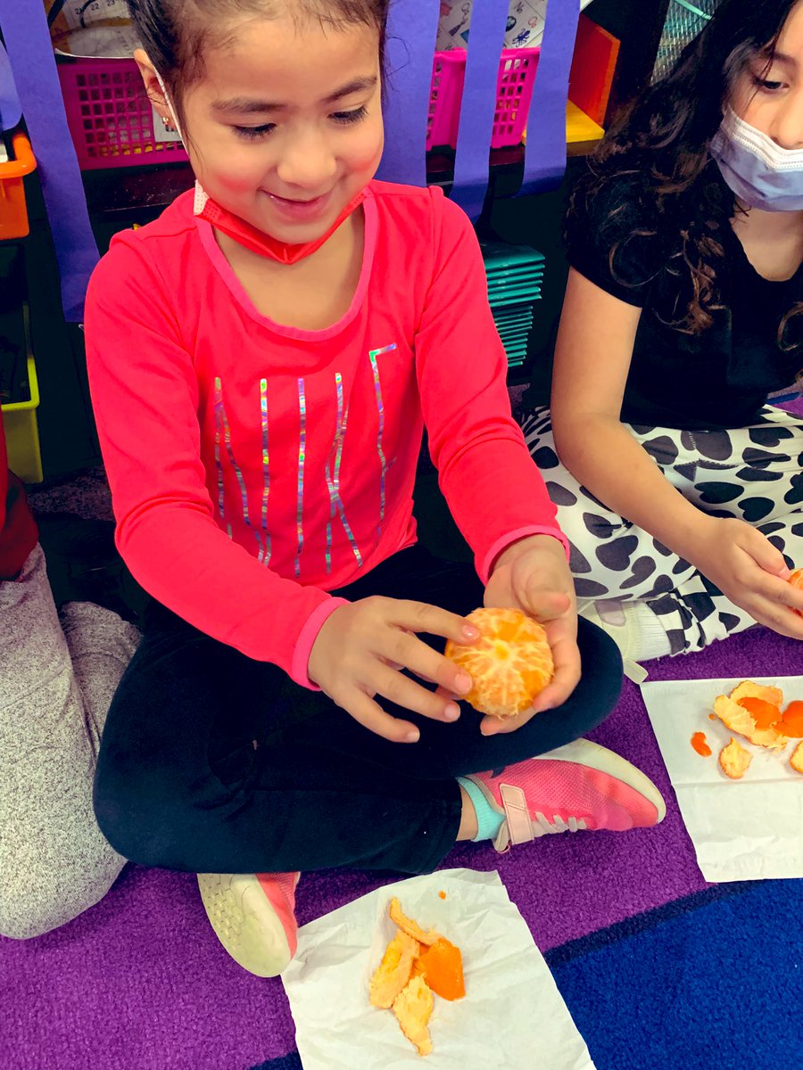 MollyJo77801657's tweet image. Second graders will be engaging in a thinking routine called “peel the fruit,” to discuss what they know about relationships! To kick off our unit of inquiry we peeled an actual fruit and then practiced talking about what they noticed!@RandolphIBStars #makingthinkingvisable 🍊