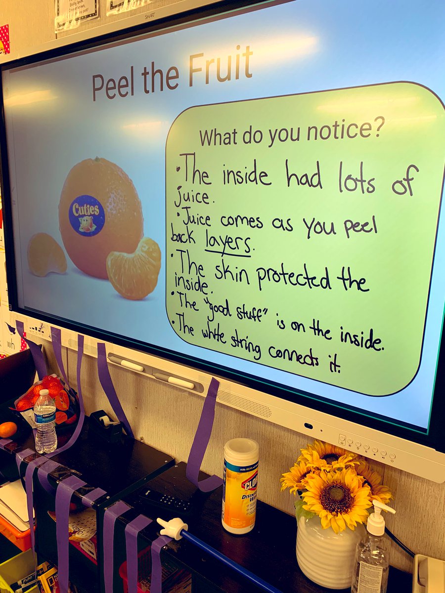 MollyJo77801657's tweet image. Second graders will be engaging in a thinking routine called “peel the fruit,” to discuss what they know about relationships! To kick off our unit of inquiry we peeled an actual fruit and then practiced talking about what they noticed!@RandolphIBStars #makingthinkingvisable 🍊
