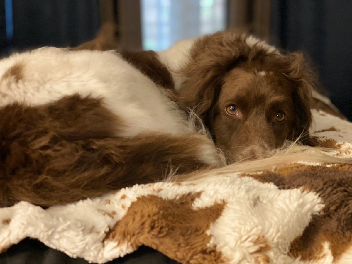 MichelAller's tweet photo. #cutenessoverload https://t.co/nZi6u8BCP5