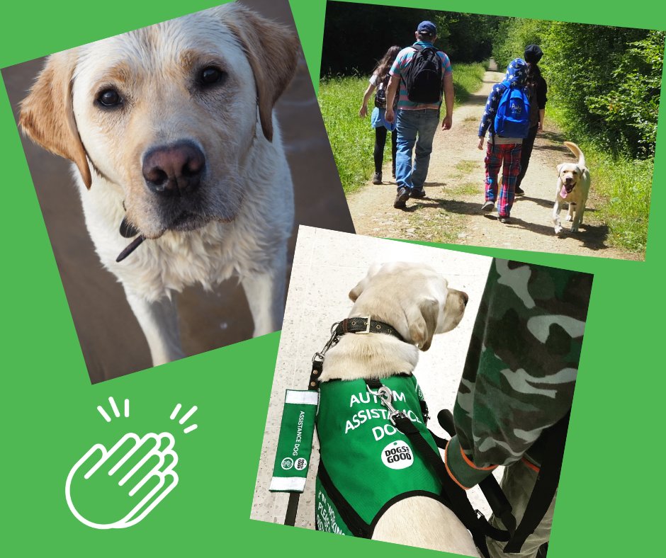DogsForGoodUK's tweet photo. This week, it's #AutismAcceptanceWeek and we're celebrating the power of dogs and how they support autistic people and their wider families. https://t.co/B92co7aQXa