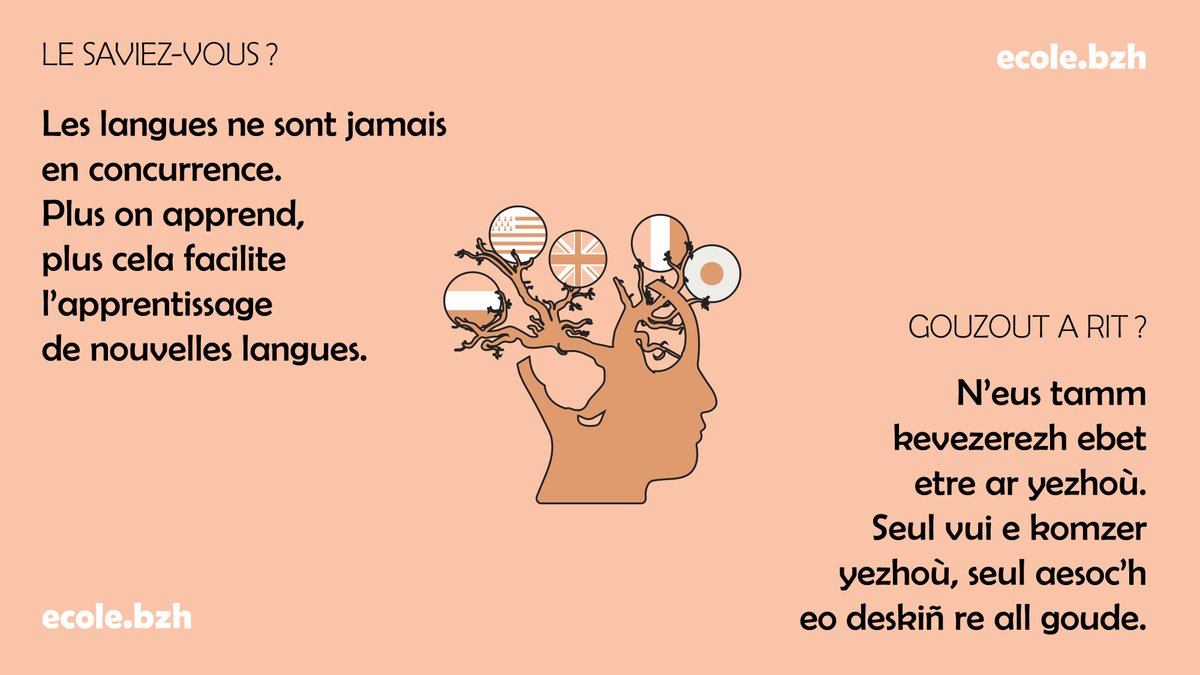Les différences entre le #français et le #breton développent les capacités #linguistiques qui favorisent l'#apprentissage d'autres #langues.
👅💬🧠🏋️🎧
A drugarez d'an diforc'hioù yezh e vez ledanoc'h anaoudegezh eus an anadennoù yezhadurel. Sikour a ra evit zeskiñ yezhoù all.