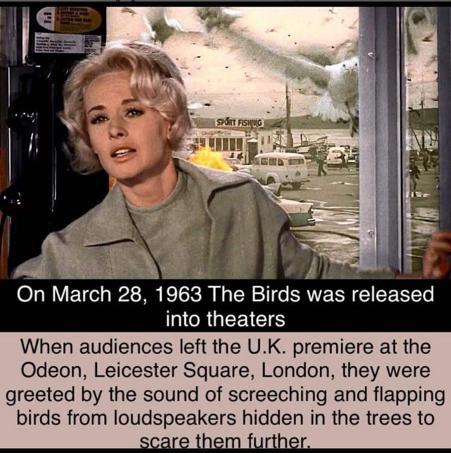 Raised In Horror tweet media