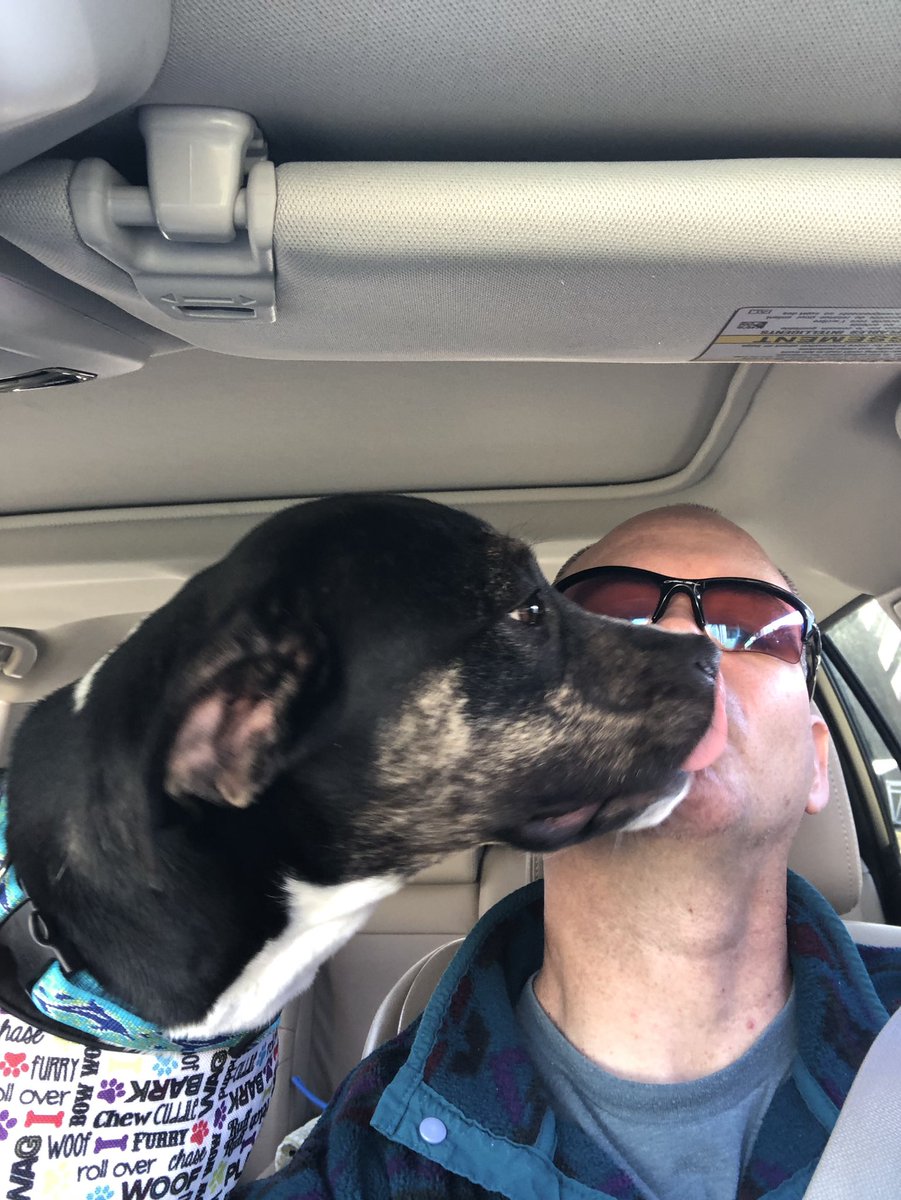 k9kayaks's tweet photo. Julie 💭 When you have a good vet #wellcheck visit then dad gives me kisses or is it the other way around 🐾🐾❤️🤷🏼♂️
#SubaruDogs https://t.co/5atFeMW9Uu