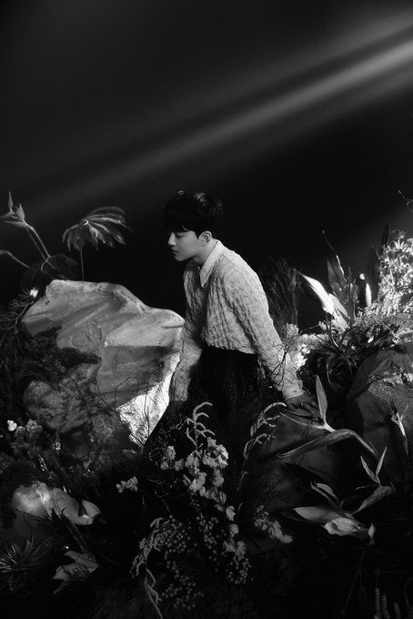 FO8flLrVIAEAcSA?format=jpg&name=small