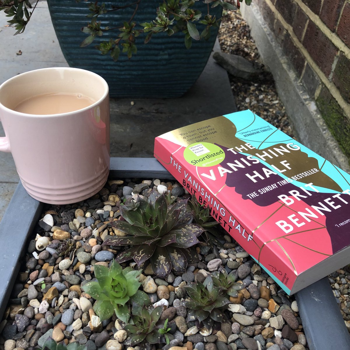 NovelistJessica's tweet photo. Now you see it: The Vanishing Half by Brit Bennett #AmReading #TheVanishingHalf #BritBennett #Twins https://t.co/T7ObwiY1N0