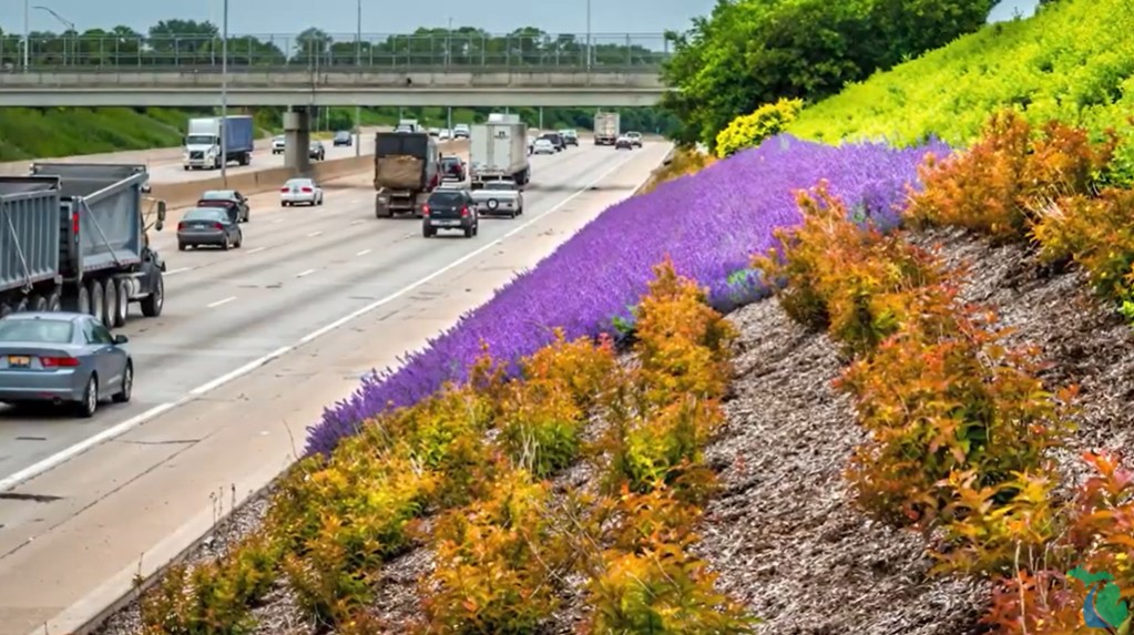 MSU AgBioResearch tweet media