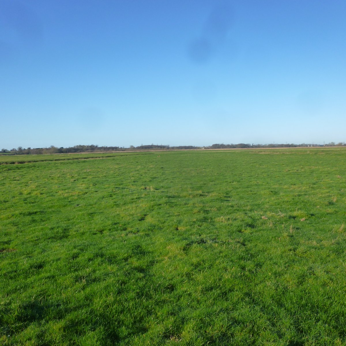 Durrants Agriculture tweet media