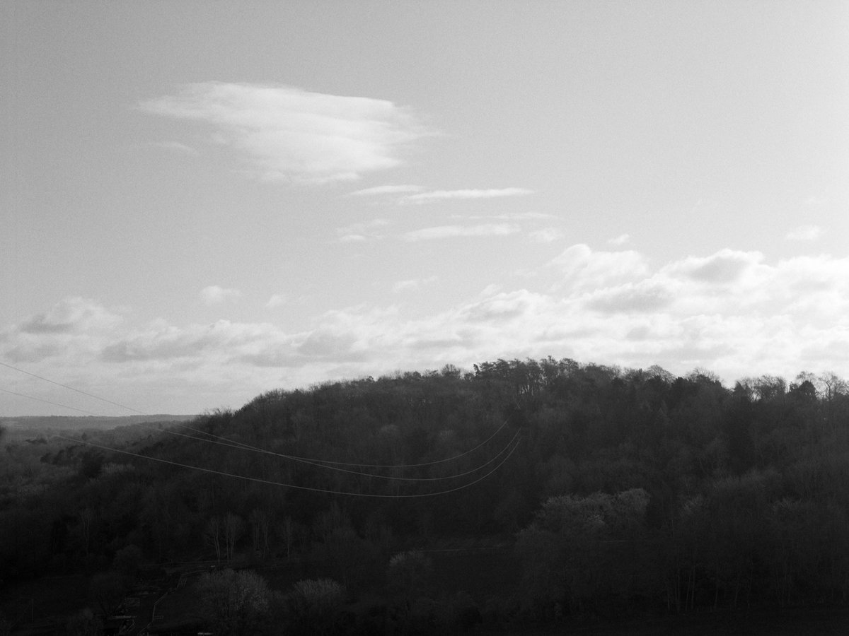 Black River tweet media