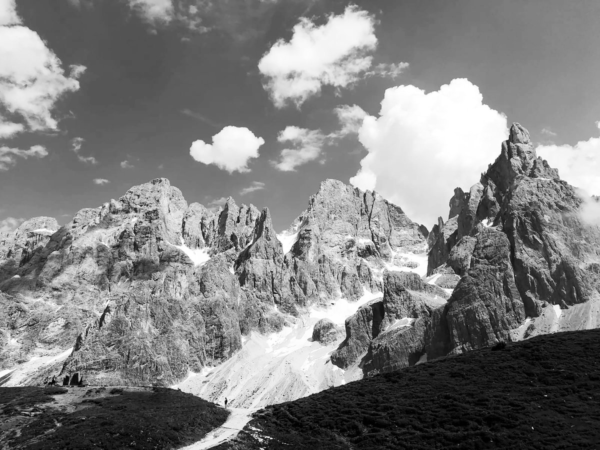 Black River tweet media