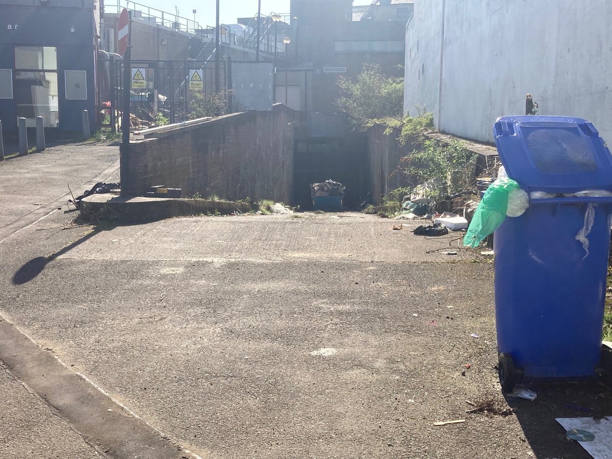 FalkirkFilthy's tweet image. Another mess right in the centre of Falkirk, this time in Manor Street.   Absolutely disgusting 🤮