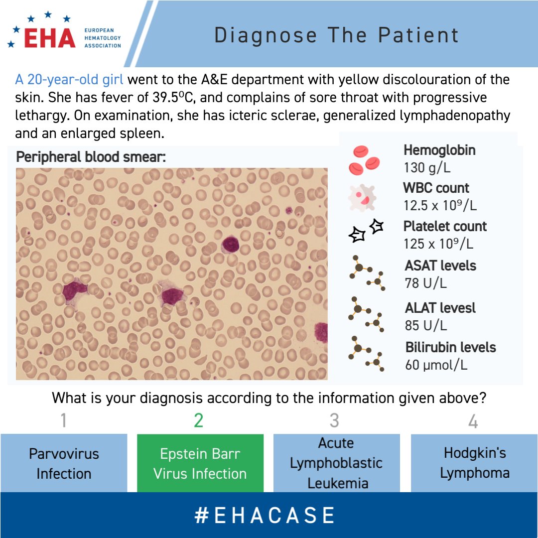 European Hematology Association on Twitter "We are back with the