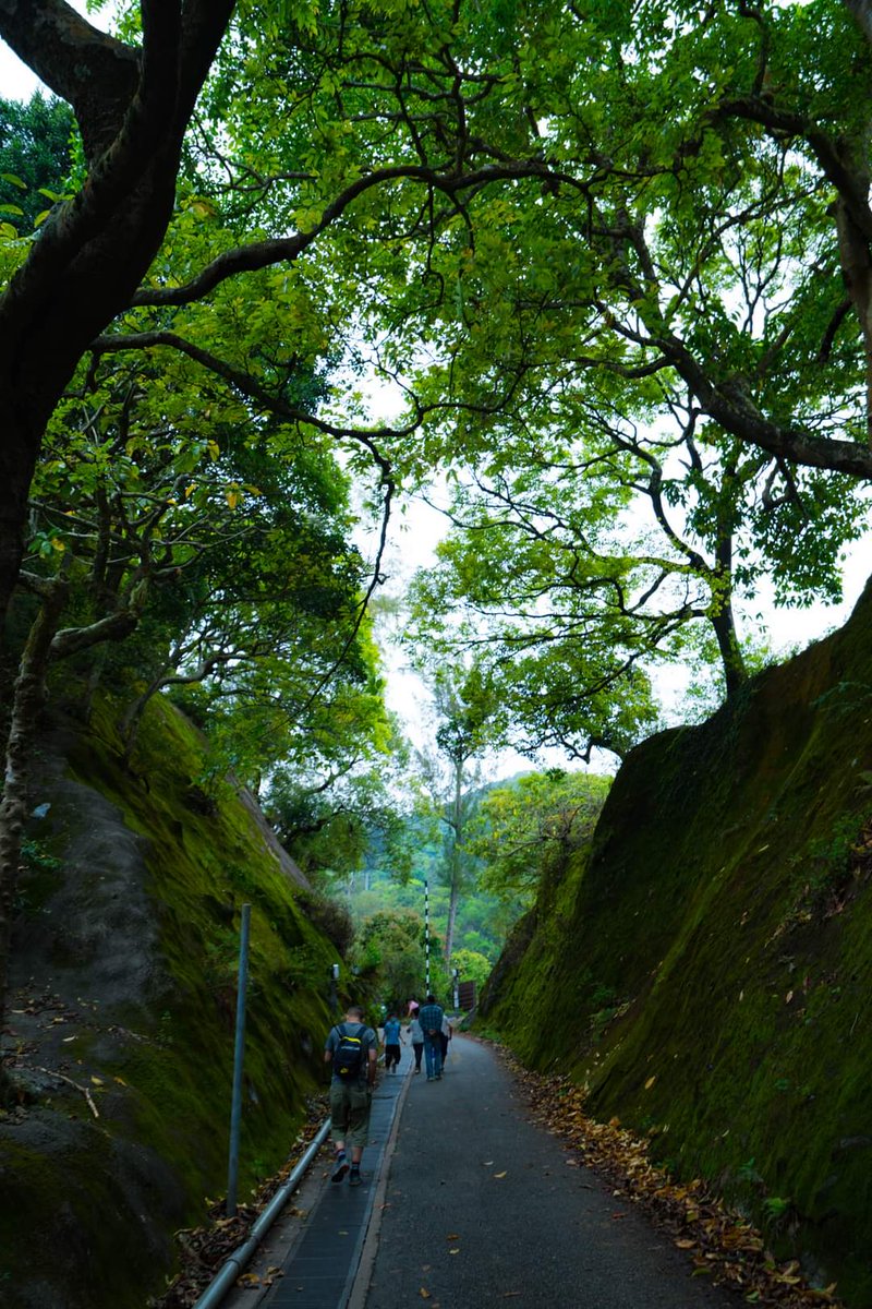 Jamjam~Hong Kong (@willjamsonya7iv) on Twitter photo 