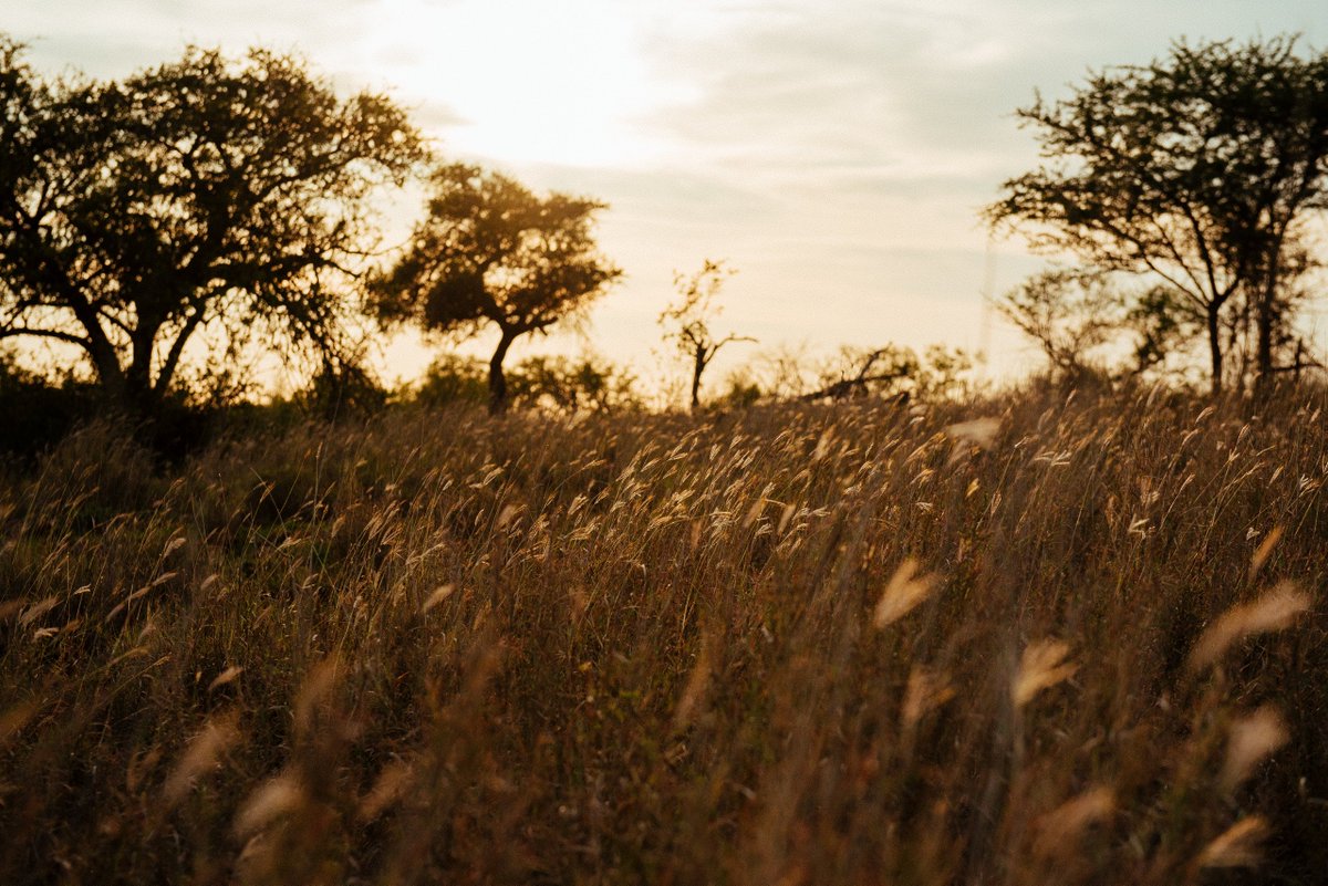 30x30NOW tweet media