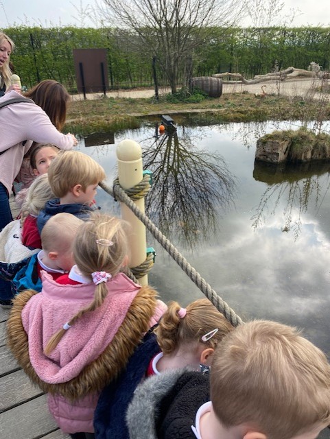 AcademyWalton's tweet photo. EYFS loved visiting Tropical Butterfly World, Sheffield today! We enjoyed learning all about minibeasts and seeing lots of wonderful animals throughout the day ๐๐ฆ #WPAEYFS https://t.co/MSouXkfCW0