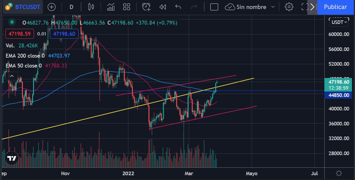 KriptoAdictos tweet media