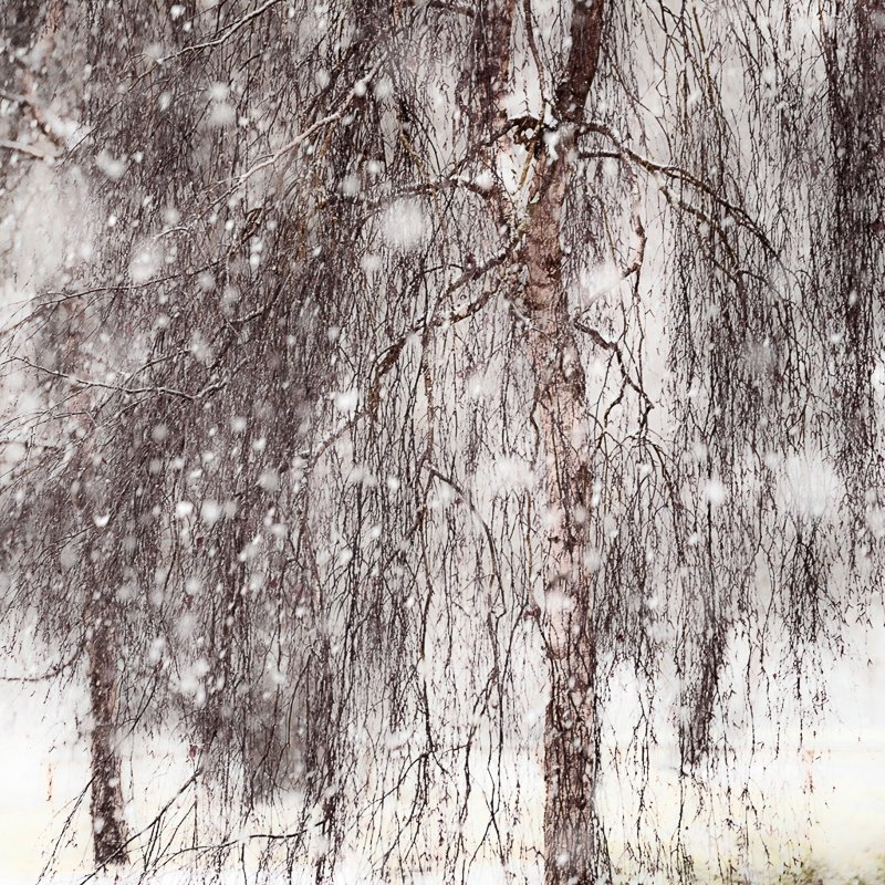 This is ‘Snowstorm’ by Freda Hocking - one of our exhibitors at the #ARBN_exhibition at the <a href="/thehorsebridge/">Horsebridge Centre</a> November 16-28th at beautiful Whitstable in Kent - Please make a note in your diary - In addition to the exhibition there will be workshops and talks to enjoy.