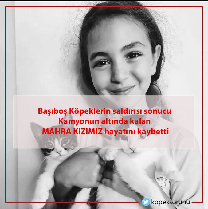 Mahra'y� maalesef kaybettik