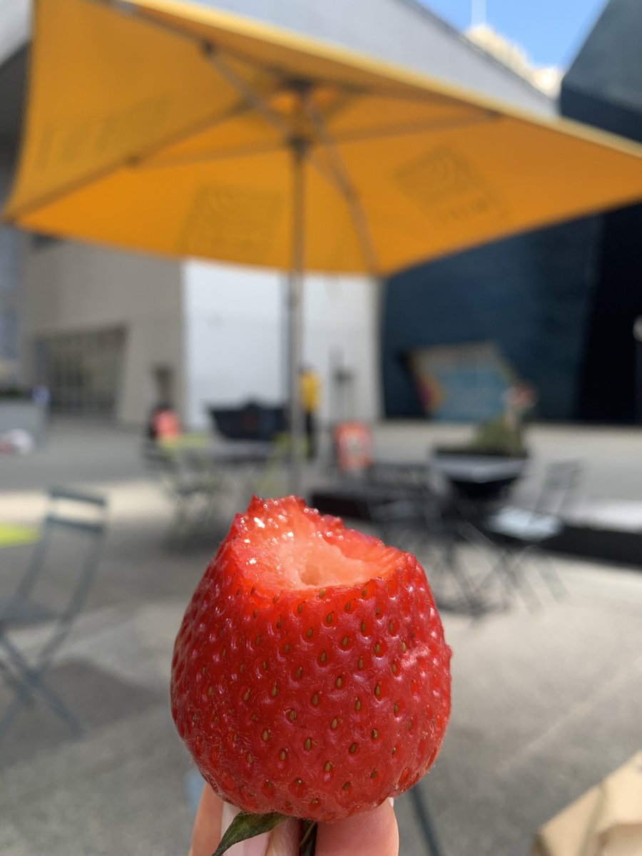 Still dreaming of these robotically-harvested strawberries from @TortugaAgTech 

#agtech