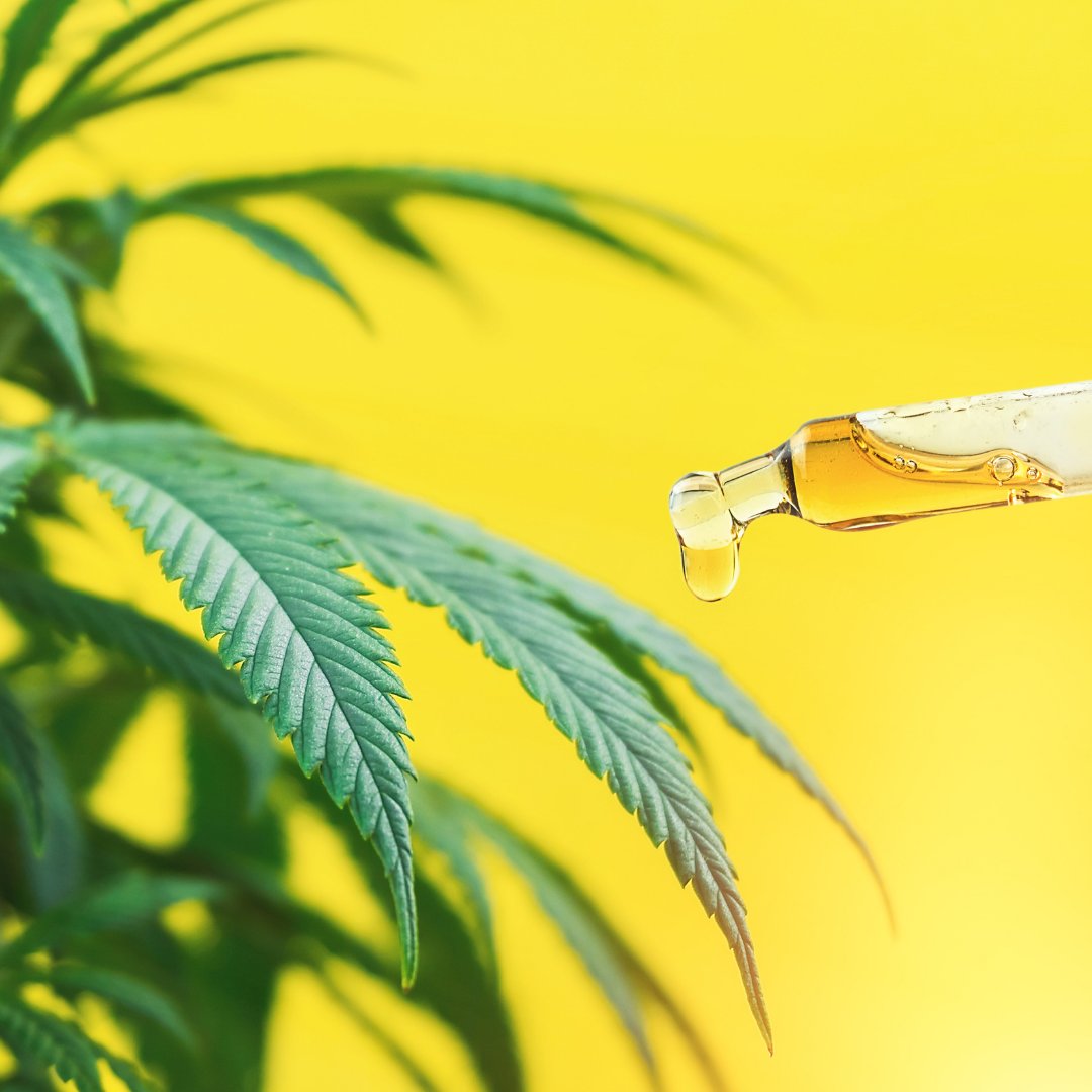HealthHempCBD's tweet photo. Learn some of the Benefits of CBG 👉 https://t.co/Gr3PpVIpbV #CBG #CBGOil #CBGbenefits https://t.co/pM9mQvTR8C