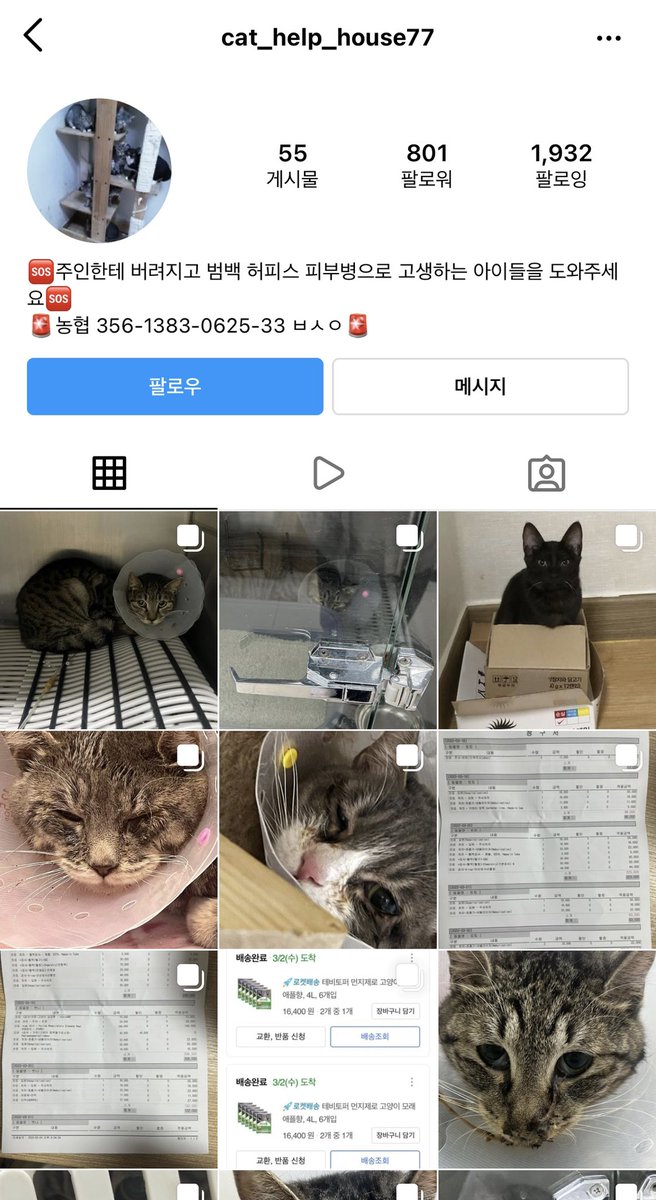 cat_help_house's tweet photo. 🆘애니멀 호더가 버리고 간 14마리 고양이와 미성년자 구조자님을 도와주세요 🆘

안녕하세요, 구조자님 지켜보던 3자인데 상황이 점점 악화되어 도움을 요청하고자 글을 쓰게 됐습니다. 

부모님이 돌아가시면서 물려받게 된 집 세입자 1명이 도망을 갔고, 문을 따보니 14마리 고양이가 방치된 상태 https://t.co/QfamJarYnf