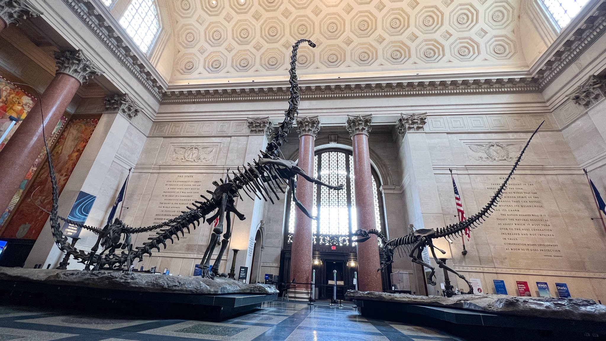 American Museum of Natural History on Twitter "Beginning Wednesday