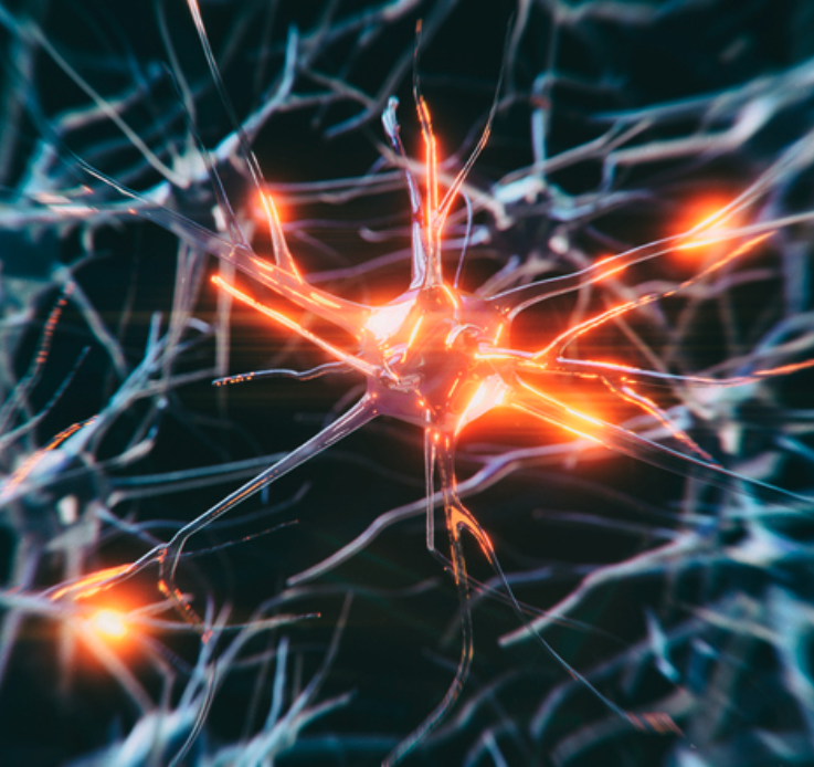 Frederique Murphy 🧠🎤✨ Mountain Moving Mindset tweet media