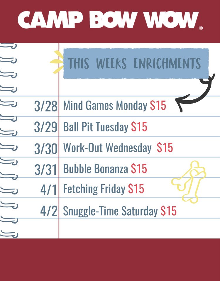 cbwmatthews's tweet photo. Join us in Camp this week to add on an extra enrichment to your pups day! Enrichments help boost mental and physical stimulation with one on one time with a counselor! Call the front desk for d-tails! 🐶🐾 https://t.co/pNCH3cfxlN